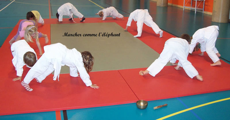 gym_elephant
