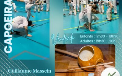 Zoom sur la capoeira