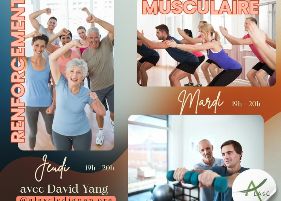 Zoom sur le renforcement musculaire